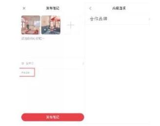 小紅書(shū)品牌賬號(hào)認(rèn)證
